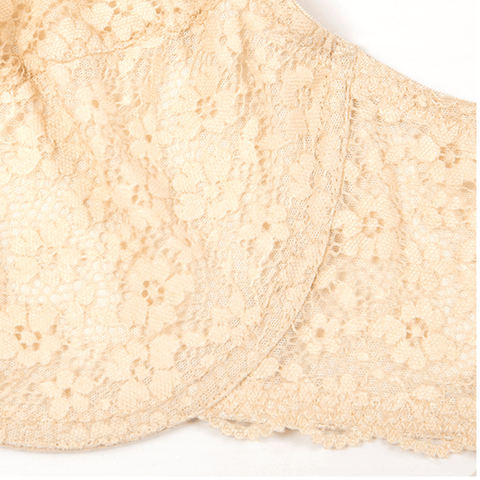 CurvyPower | UK Bras Plus Size Lace Push Up Bra with Steel Ring