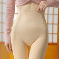 CurvyPower | Be You ! Nude / Free Women Fleece Lined Waist Shaper Thermal Translucent Tights
